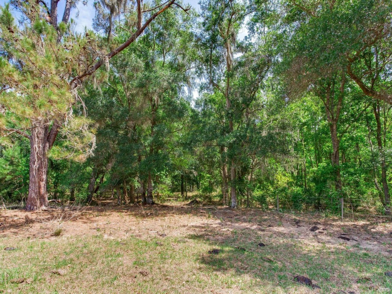Spring Lake Highway , Brooksville, FL 34602 Photo