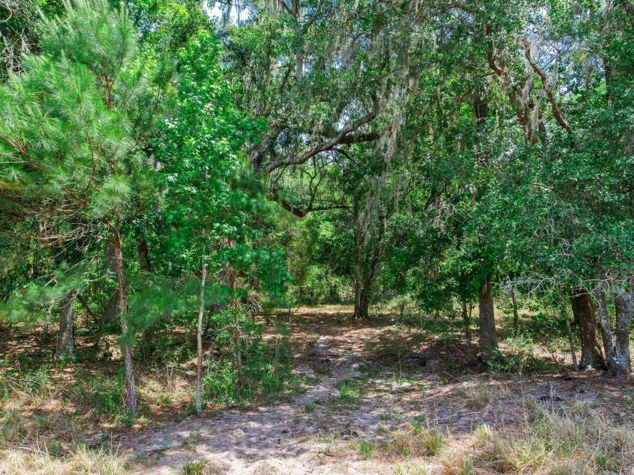 Spring Lake Highway , Brooksville, FL 34602 Photo