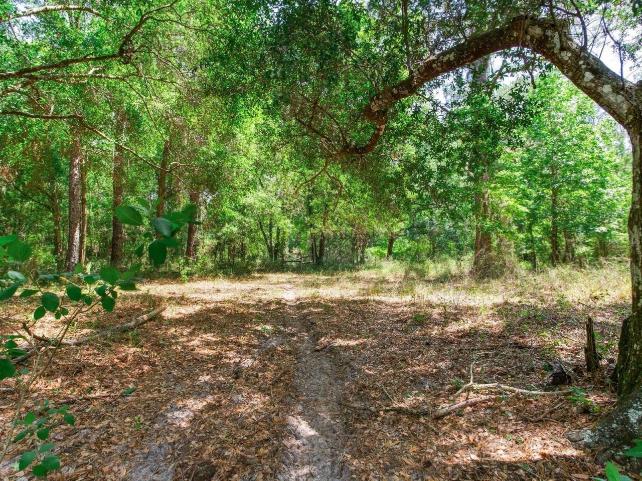 Spring Lake Highway , Brooksville, FL 34602 Photo
