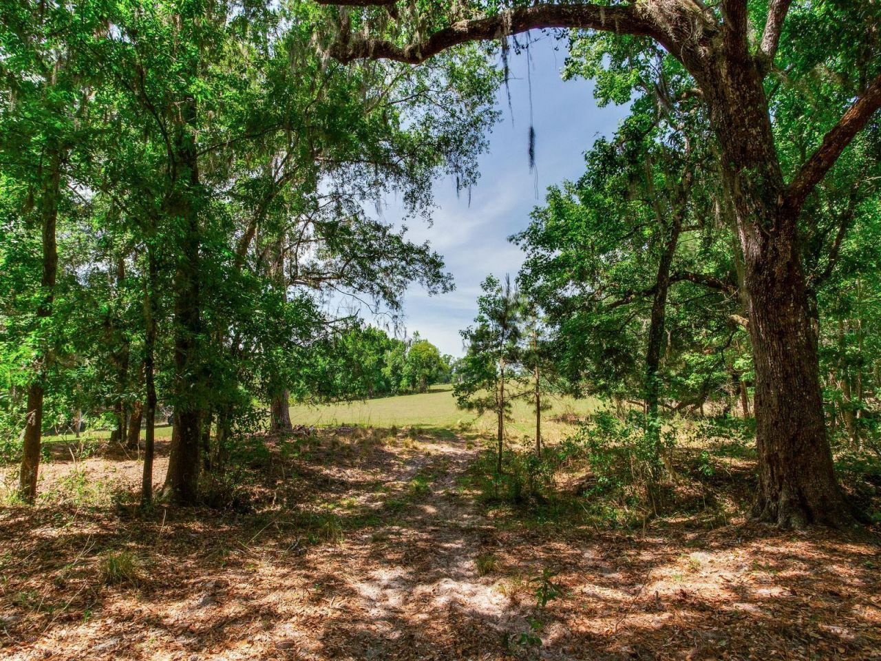 Spring Lake Highway , Brooksville, FL 34602 Photo