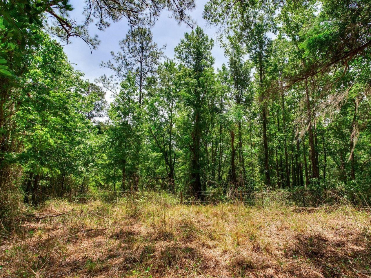 Spring Lake Highway , Brooksville, FL 34602 Photo