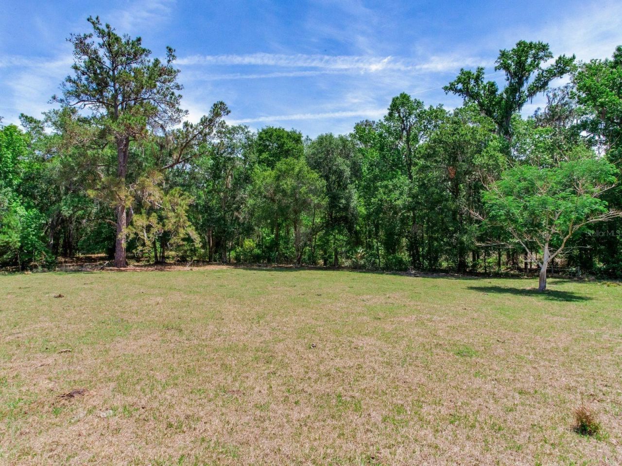 Spring Lake Highway , Brooksville, FL 34602 Photo