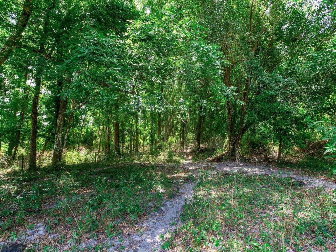 Spring Lake Highway , Brooksville, FL 34602 Photo