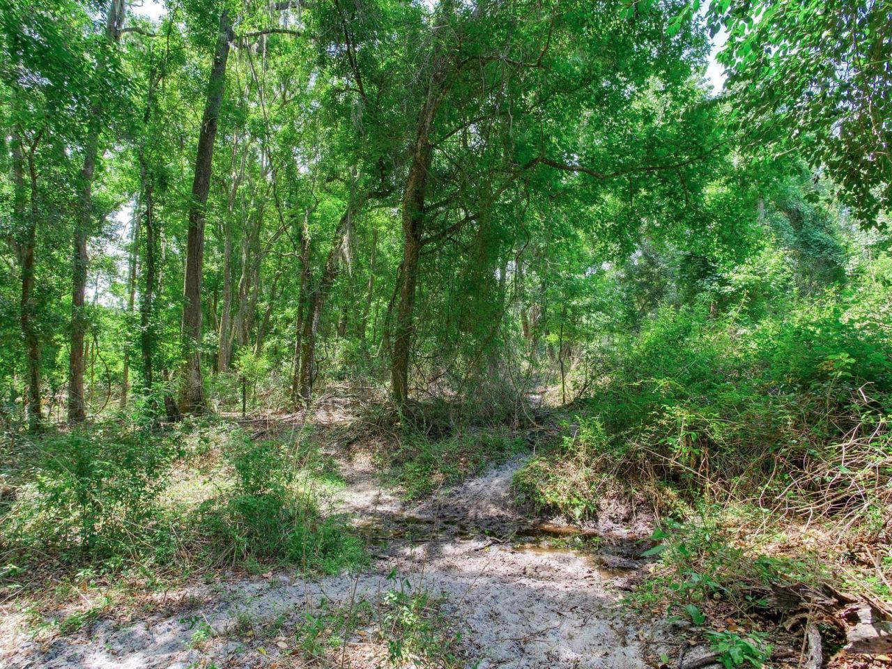 Spring Lake Highway , Brooksville, FL 34602 Photo