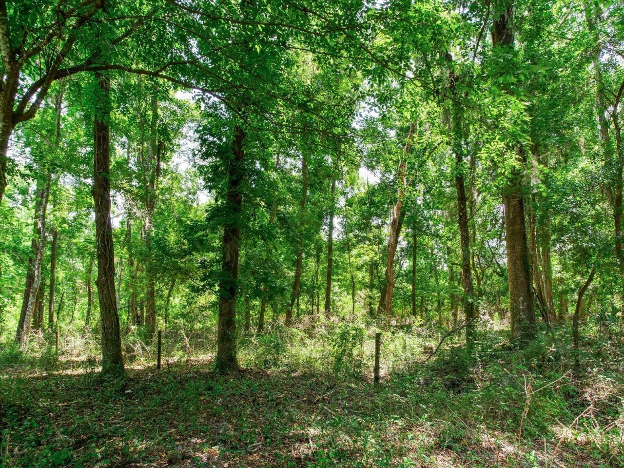 Spring Lake Highway , Brooksville, FL 34602 Photo