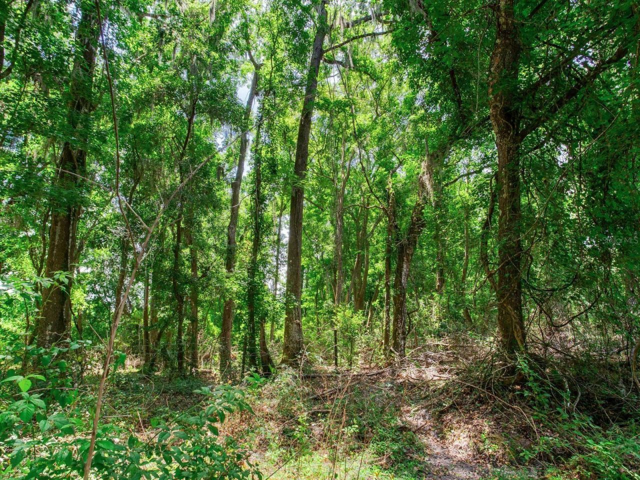 Spring Lake Highway , Brooksville, FL 34602 Photo