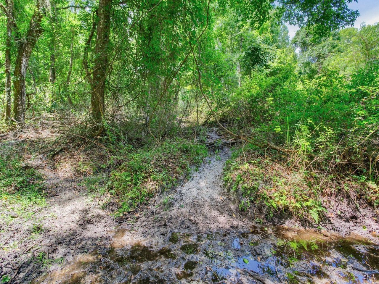Spring Lake Highway , Brooksville, FL 34602 Photo