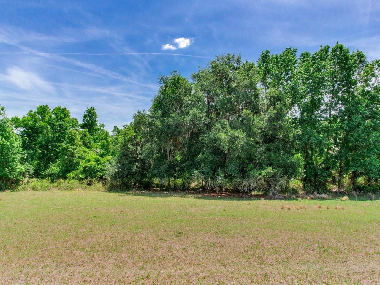 Spring Lake Highway , Brooksville, FL 34602 Photo