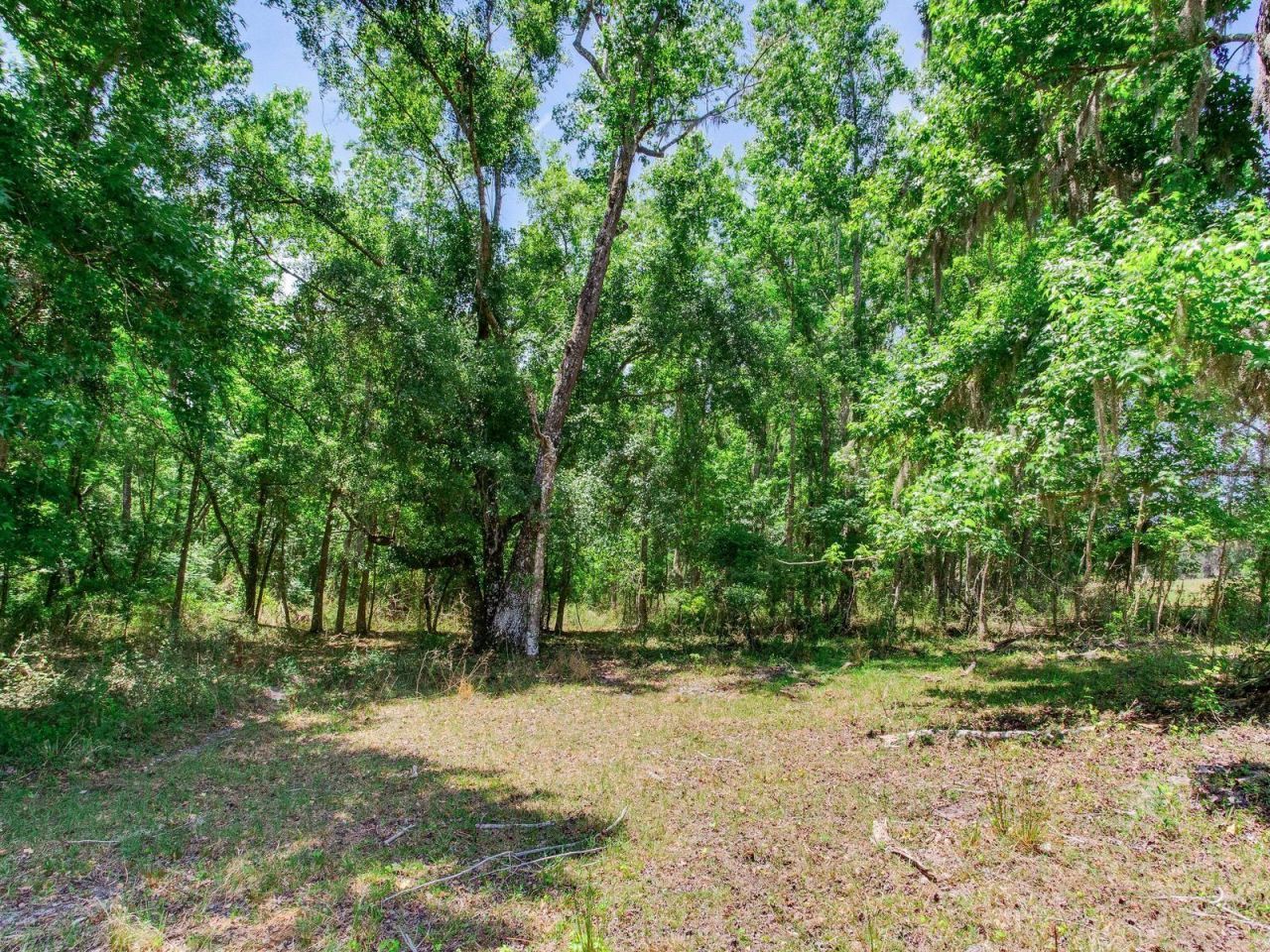 Spring Lake Highway , Brooksville, FL 34602 Photo