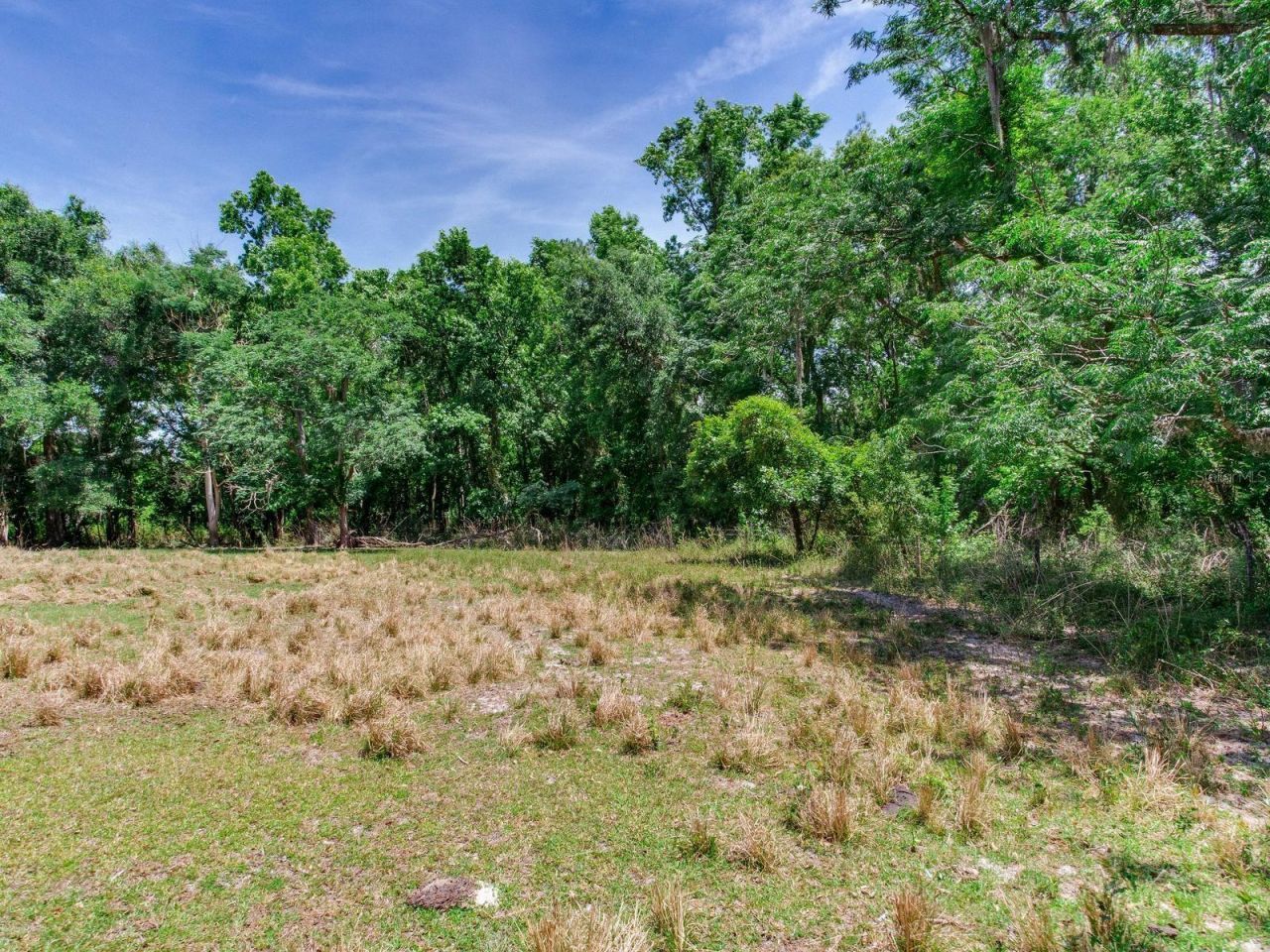 Spring Lake Highway , Brooksville, FL 34602 Photo
