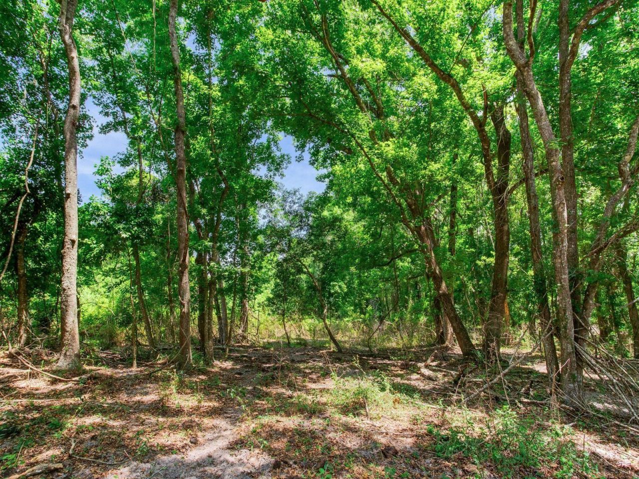 Spring Lake Highway , Brooksville, FL 34602 Photo