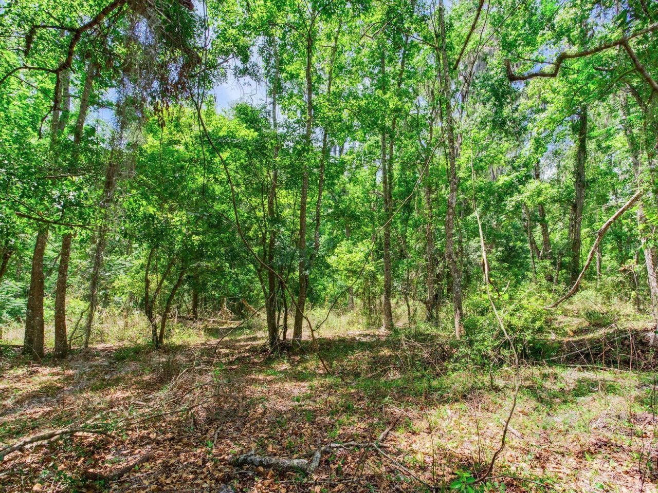 Spring Lake Highway , Brooksville, FL 34602 Photo