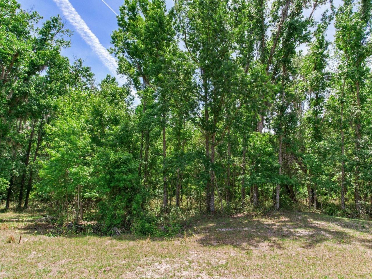 Spring Lake Highway , Brooksville, FL 34602 Photo