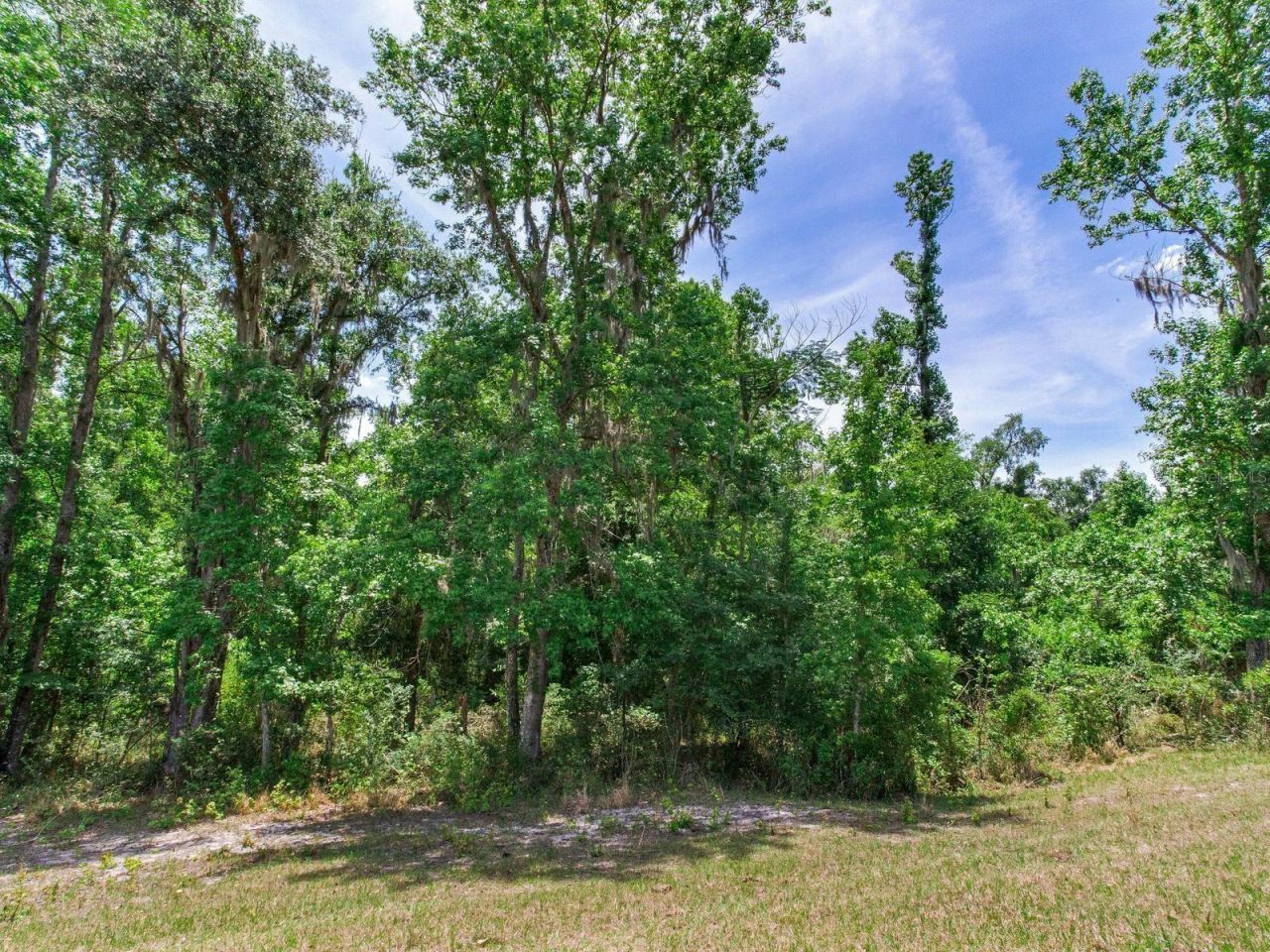 Spring Lake Highway , Brooksville, FL 34602 Photo