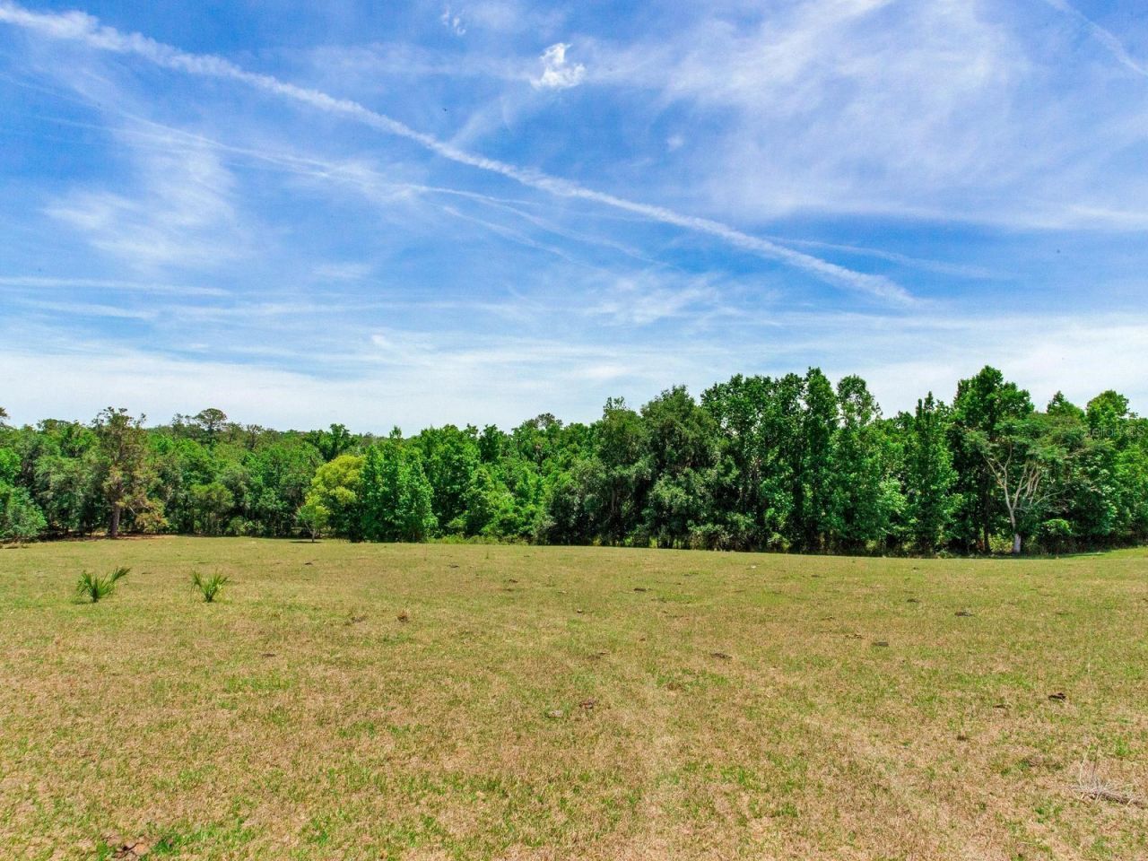 Spring Lake Highway , Brooksville, FL 34602 Photo