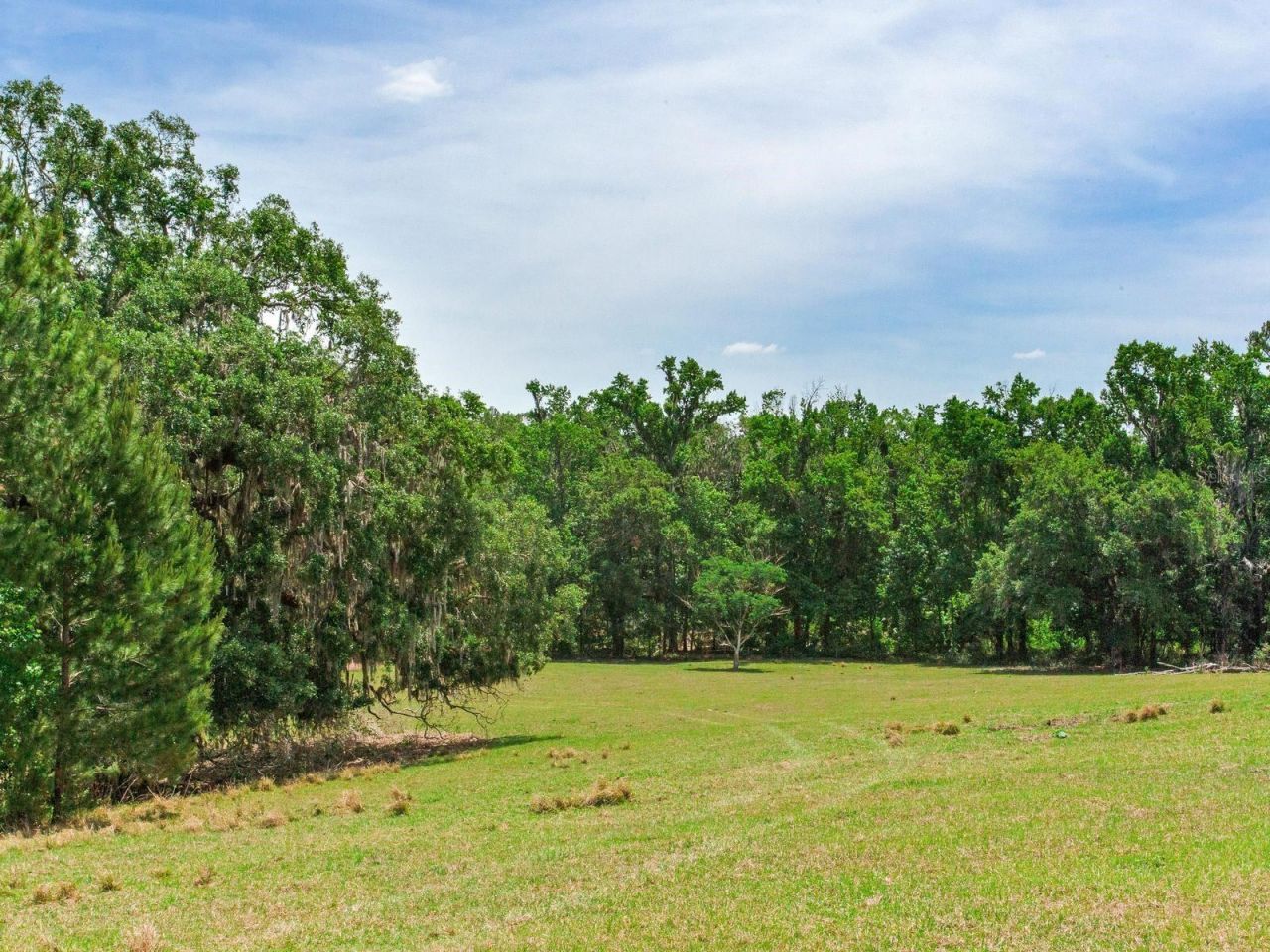 Spring Lake Highway , Brooksville, FL 34602 Photo