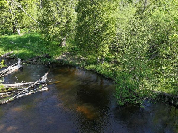 V/L E Pomeroy Springs Road, Irons, MI 49644