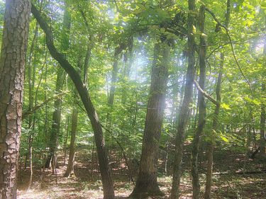 138 Stooksbury Lane, Andersonville, TN 37705
