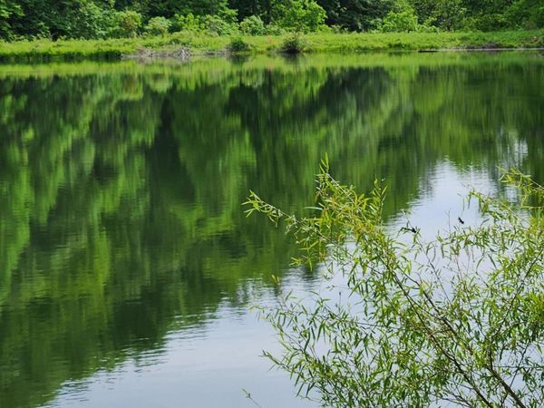 380 Seng Garden Rd, Tellico Plains, TN 37385