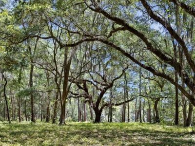 7767 Chaplin Garden Lane, Edisto Island, SC 29438