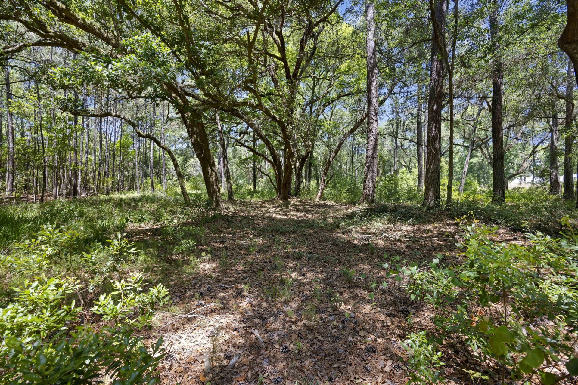 7767 Chaplin Garden Lane Photo 16