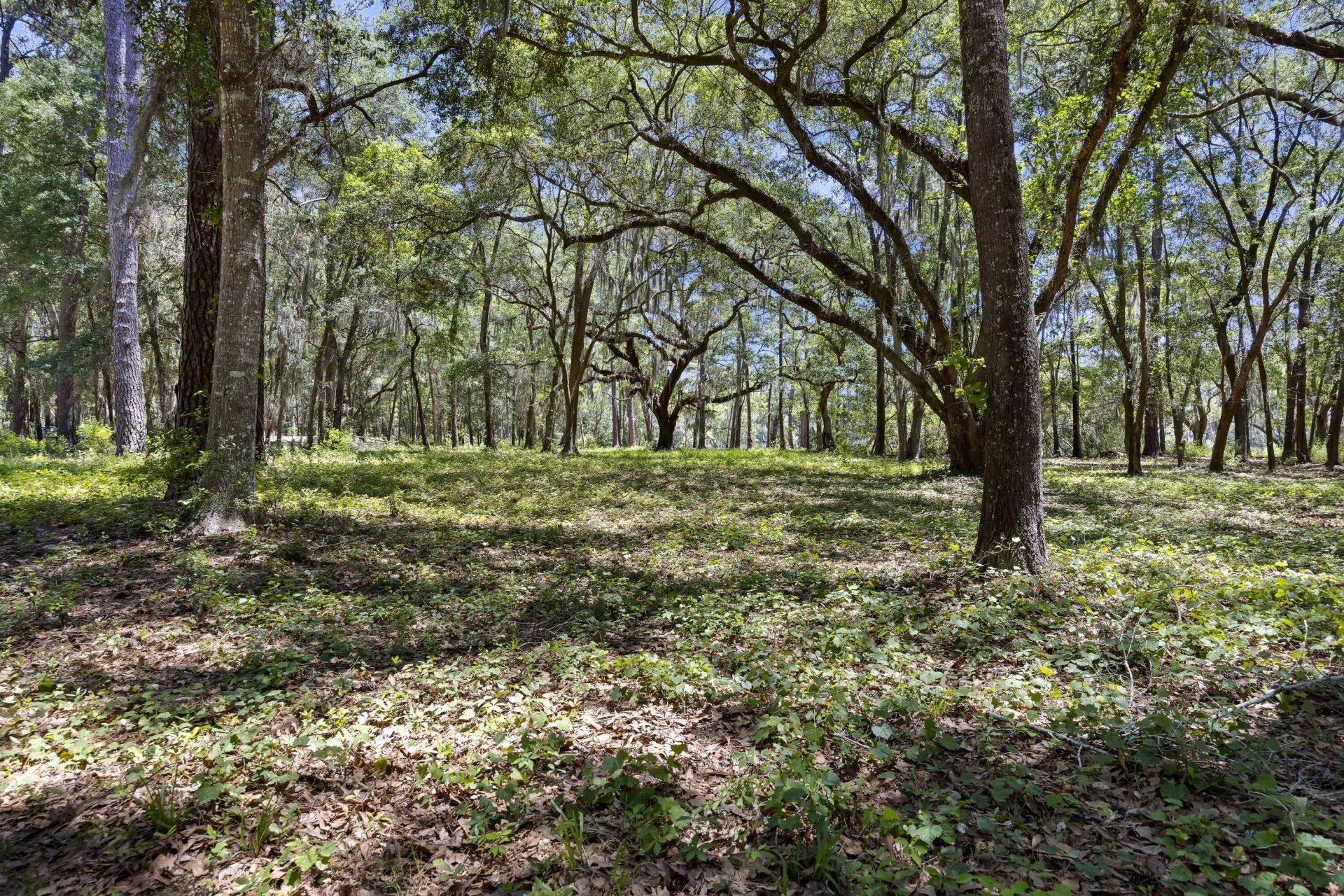7767 Chaplin Garden Lane Photo 17