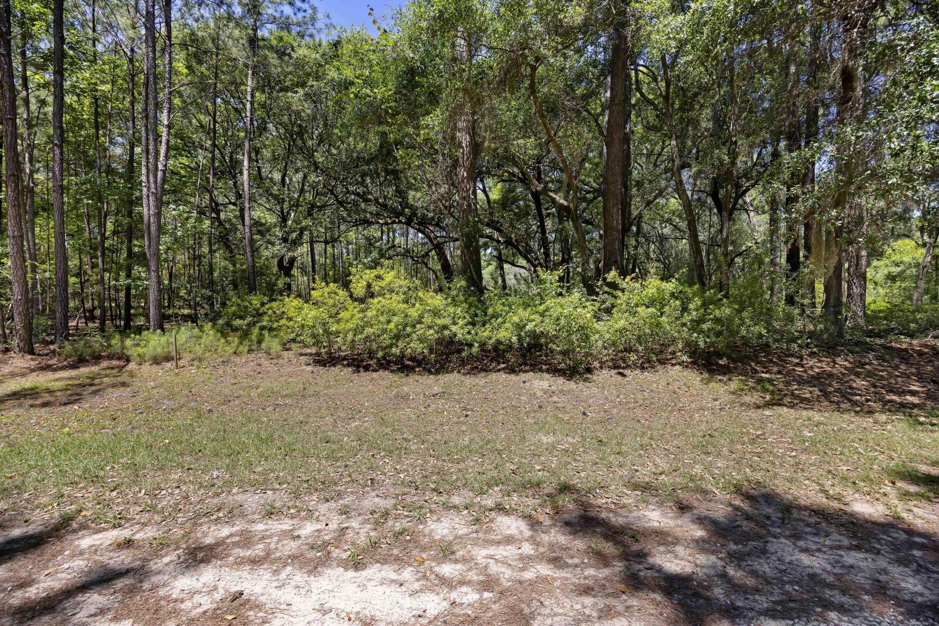 7767 Chaplin Garden Lane Photo 18