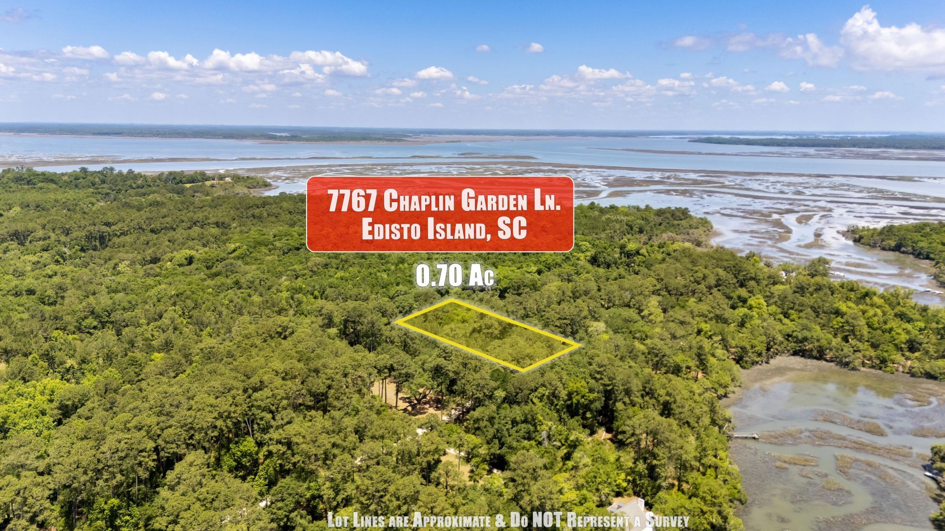 7767 Chaplin Garden Lane Photo 5