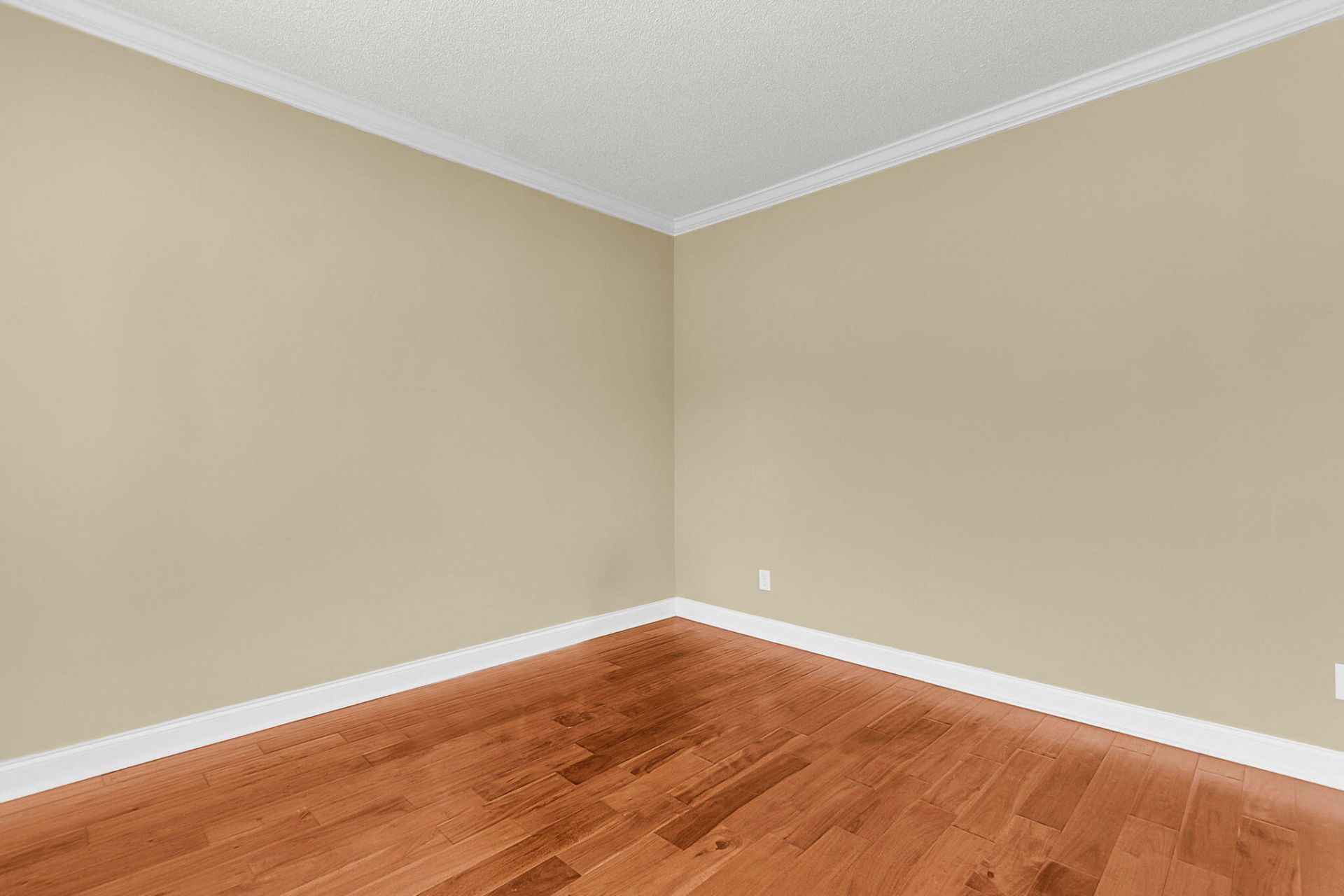 319 Lindrick Court Photo 30