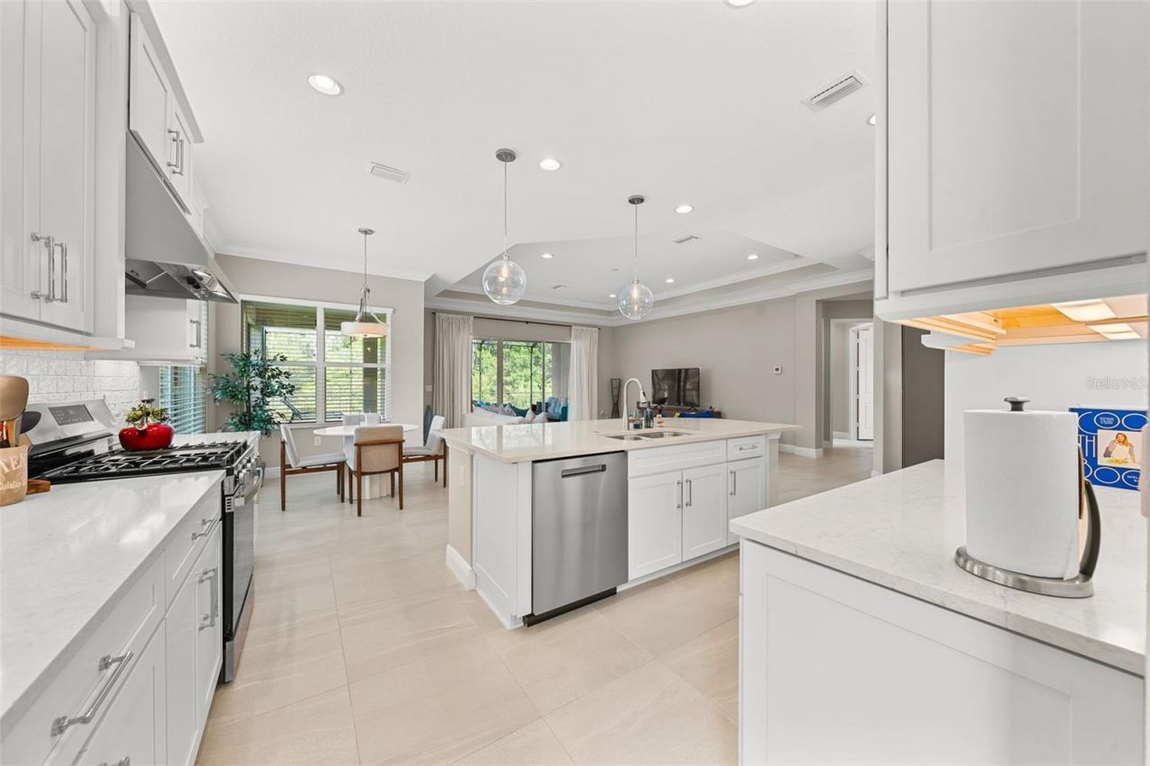 31321 Chesapeake Bay Drive, Wesley Chapel, FL 33543 Photo