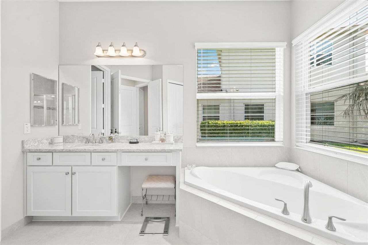 31321 Chesapeake Bay Drive, Wesley Chapel, FL 33543 Photo