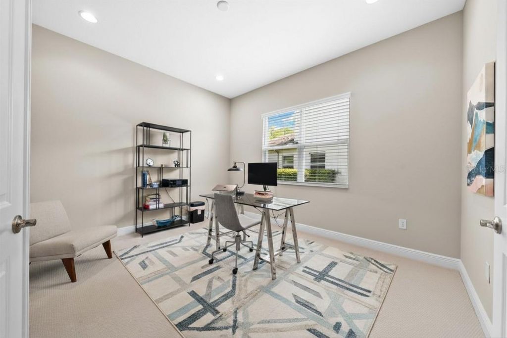 31321 Chesapeake Bay Drive, Wesley Chapel, FL 33543 Photo