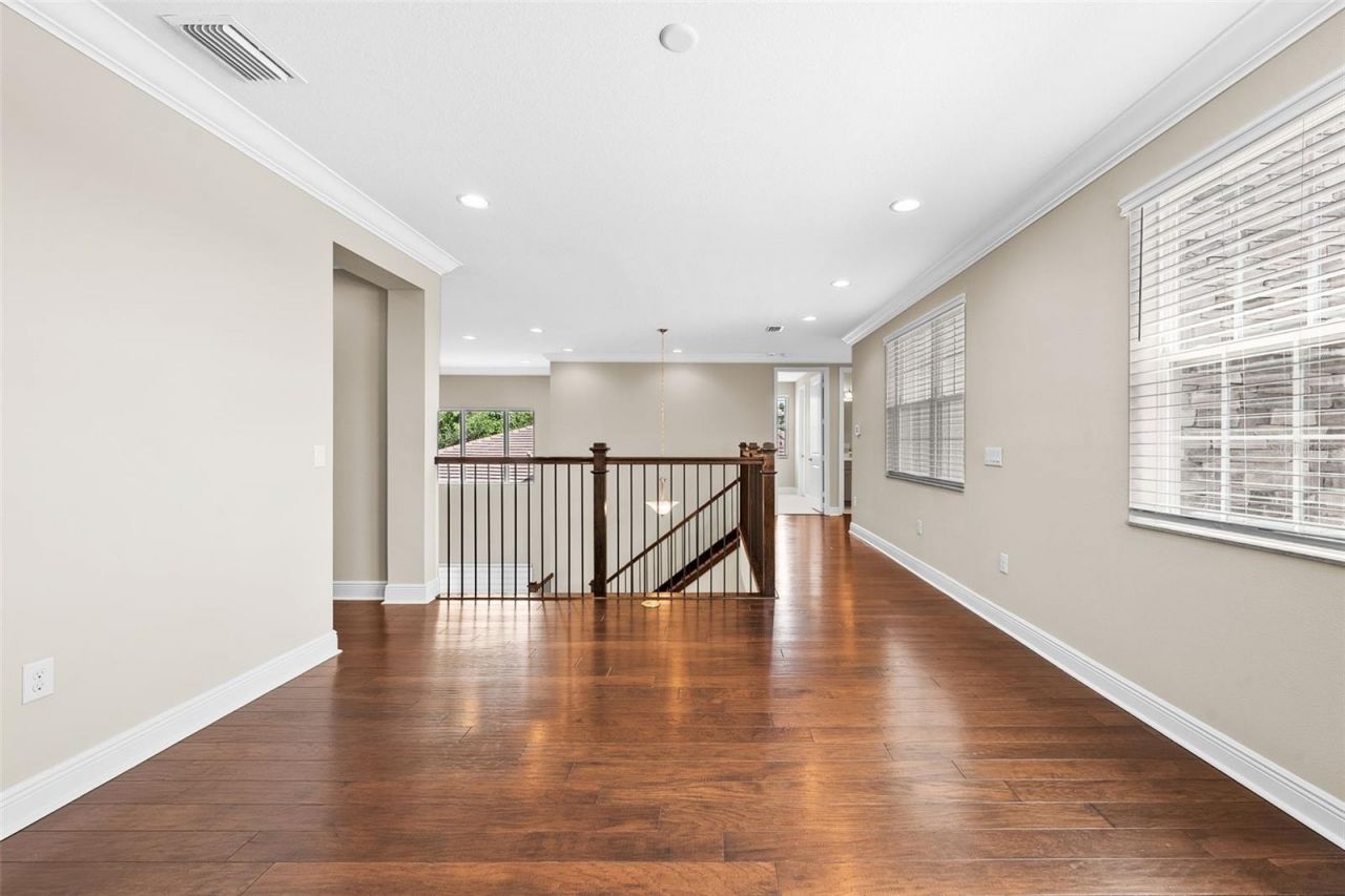 31321 Chesapeake Bay Drive, Wesley Chapel, FL 33543 Photo