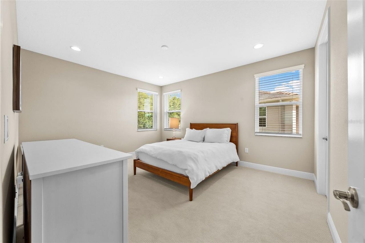 31321 Chesapeake Bay Drive, Wesley Chapel, FL 33543 Photo