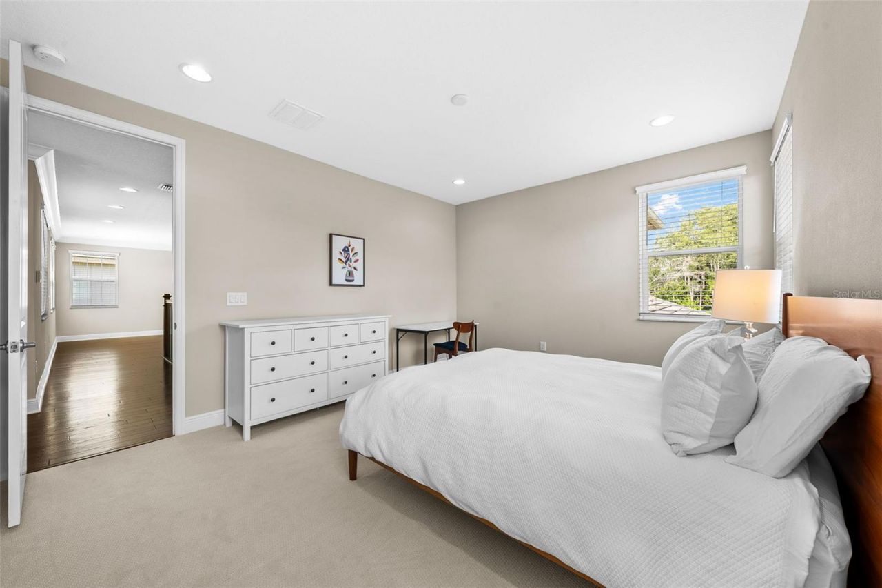 31321 Chesapeake Bay Drive, Wesley Chapel, FL 33543 Photo