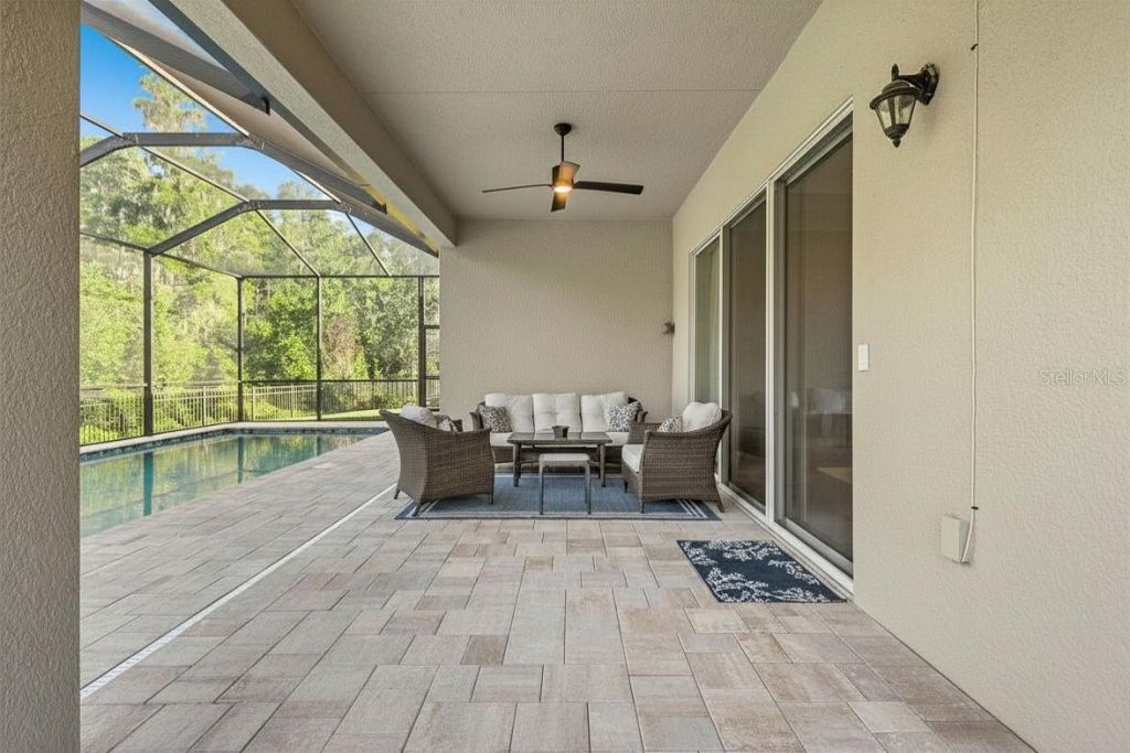 31321 Chesapeake Bay Drive, Wesley Chapel, FL 33543 Photo