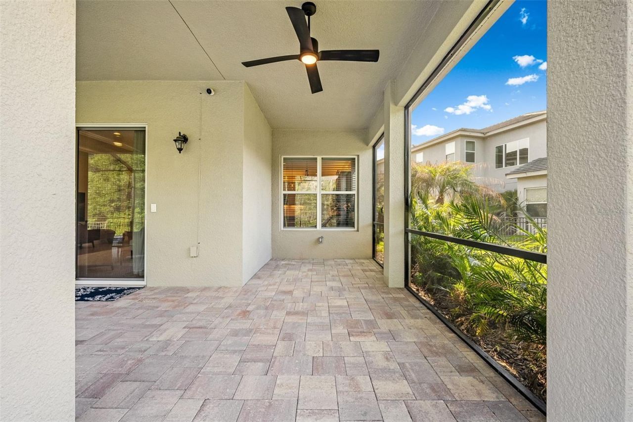 31321 Chesapeake Bay Drive, Wesley Chapel, FL 33543 Photo