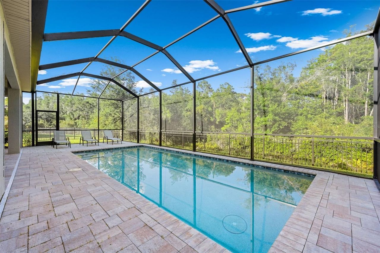 31321 Chesapeake Bay Drive, Wesley Chapel, FL 33543 Photo
