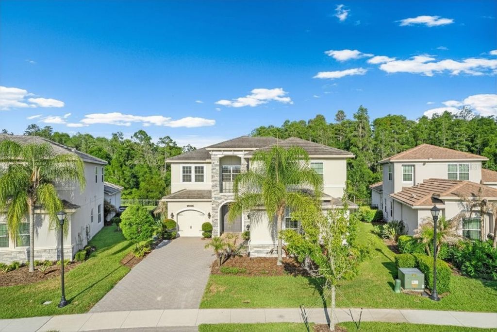 31321 Chesapeake Bay Drive, Wesley Chapel, FL 33543 Photo