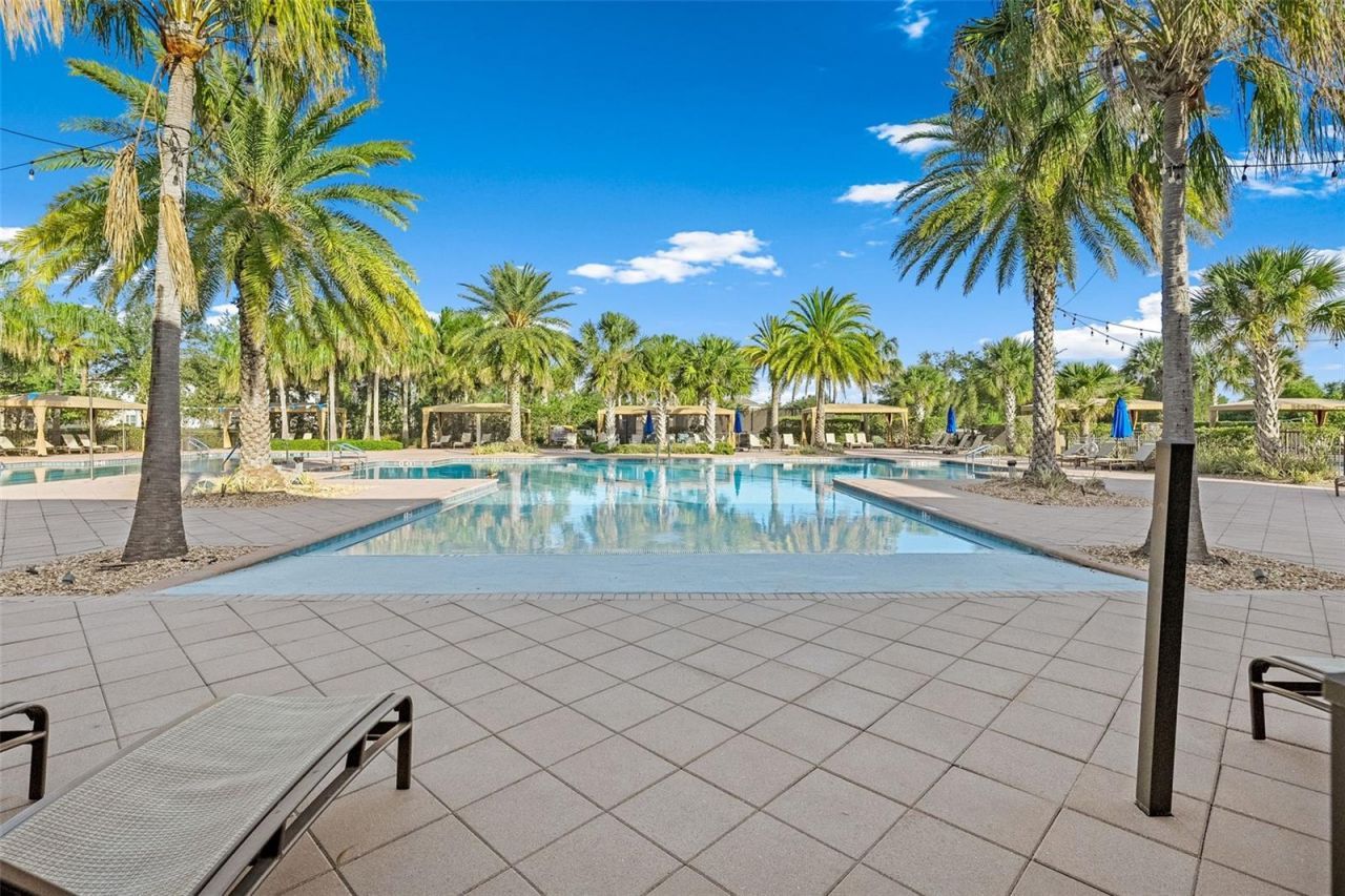 31321 Chesapeake Bay Drive, Wesley Chapel, FL 33543 Photo