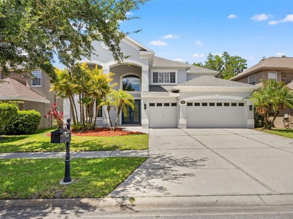 11621 RENAISSANCE VIEW COURT , TAMPA, FL 33626