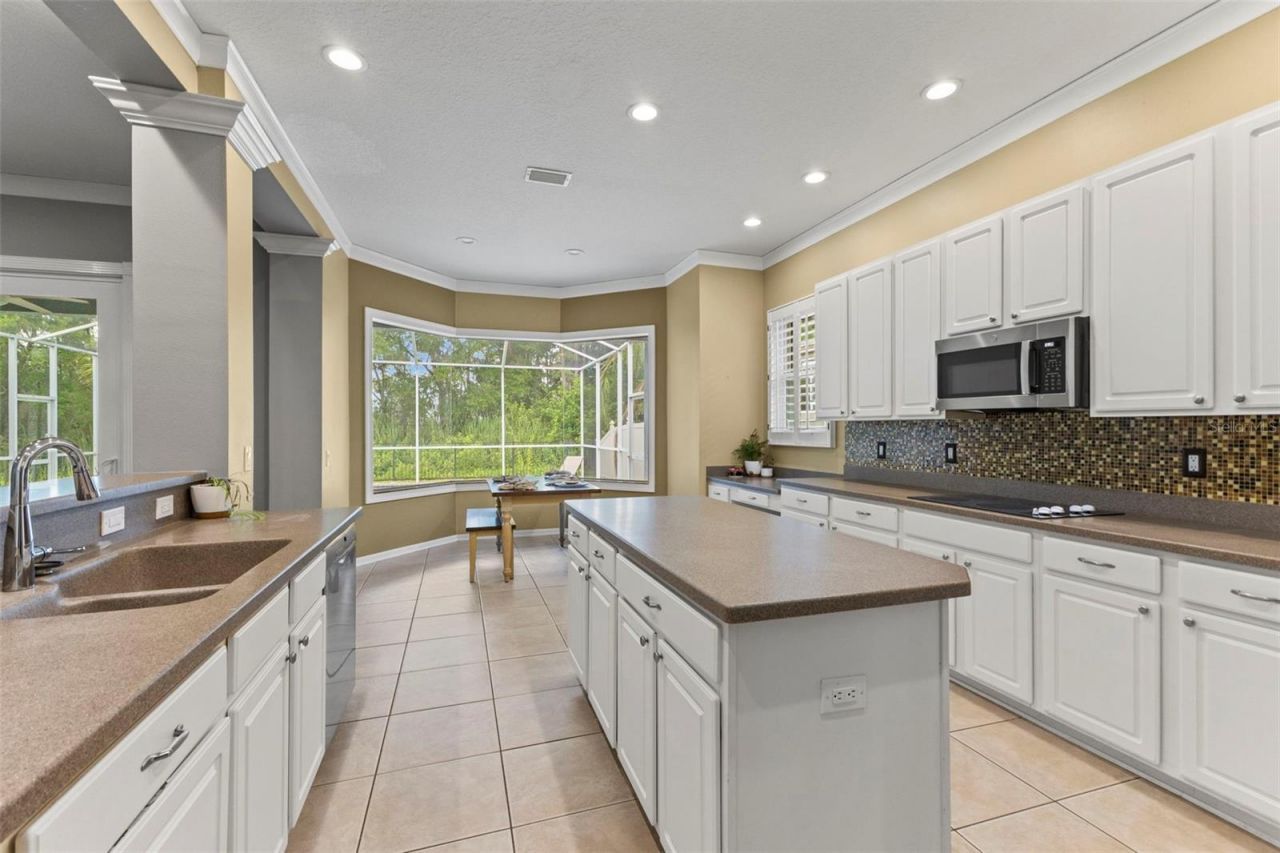 11621 Renaissance View Court, Tampa, FL 33626 Photo