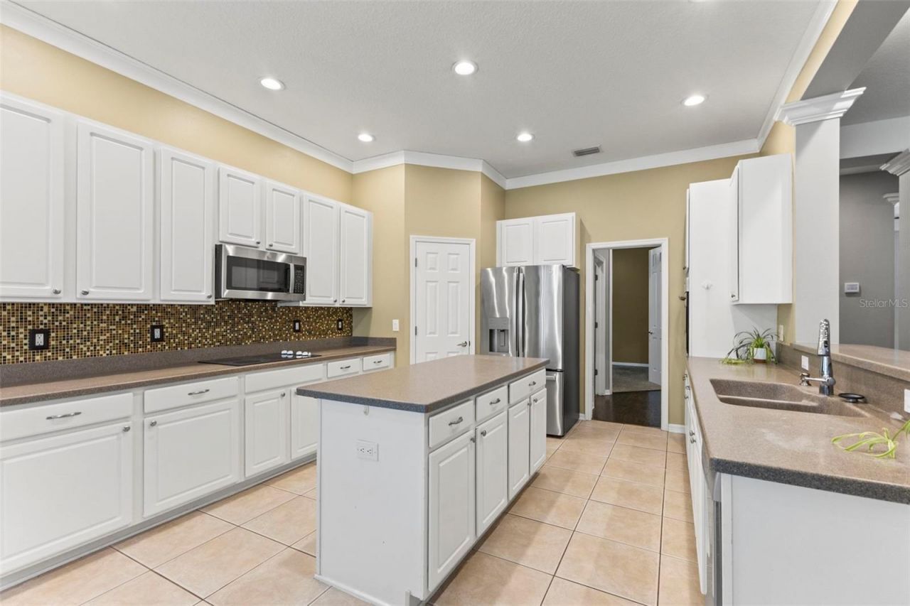 11621 Renaissance View Court, Tampa, FL 33626 Photo