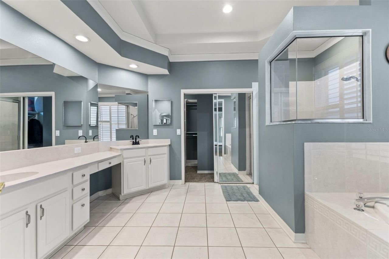 11621 Renaissance View Court, Tampa, FL 33626 Photo