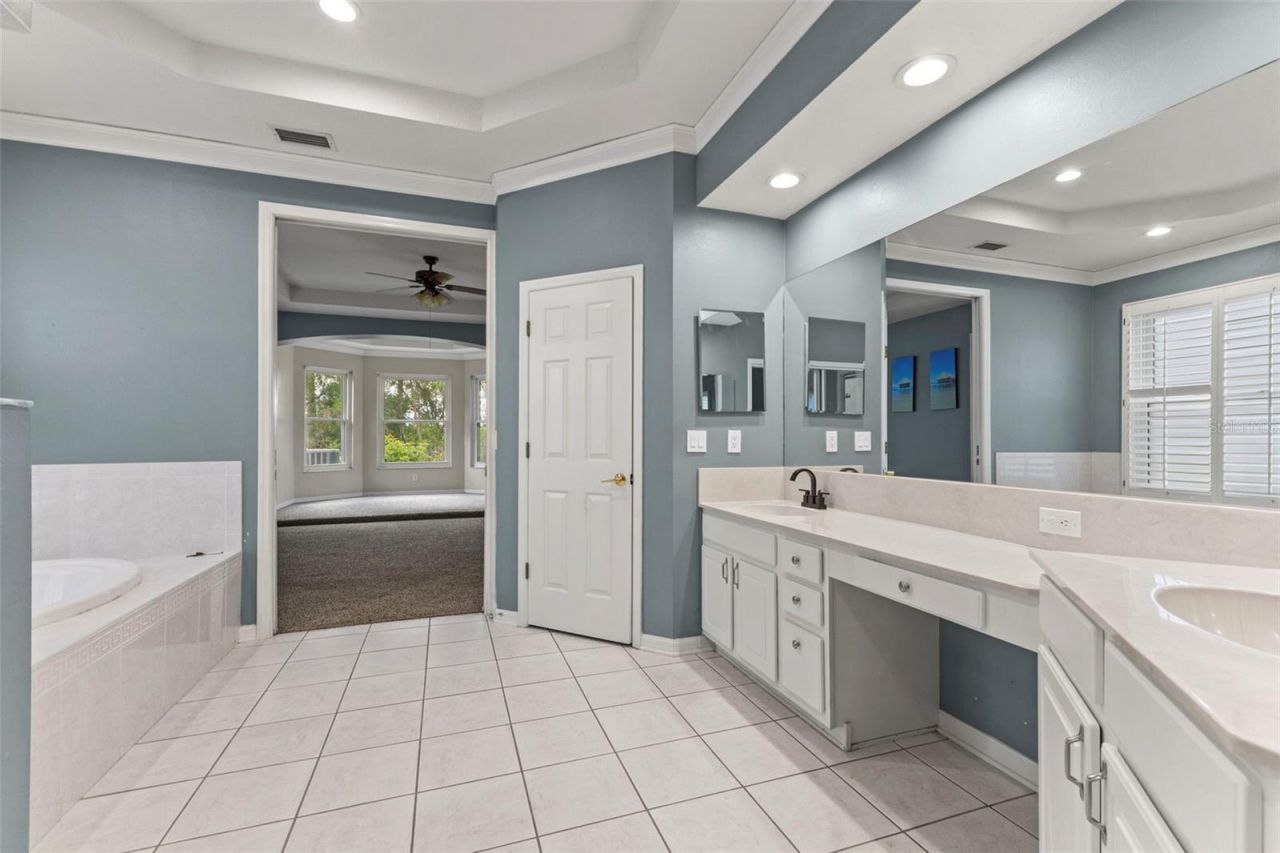 11621 Renaissance View Court, Tampa, FL 33626 Photo