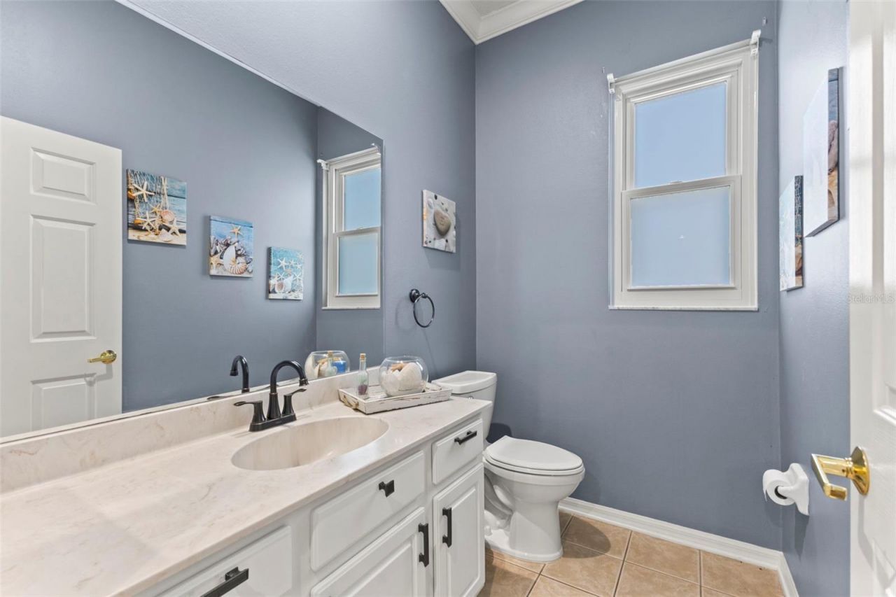 11621 Renaissance View Court, Tampa, FL 33626 Photo