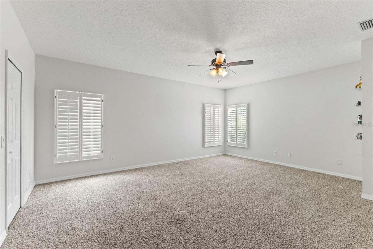 11621 Renaissance View Court, Tampa, FL 33626 Photo