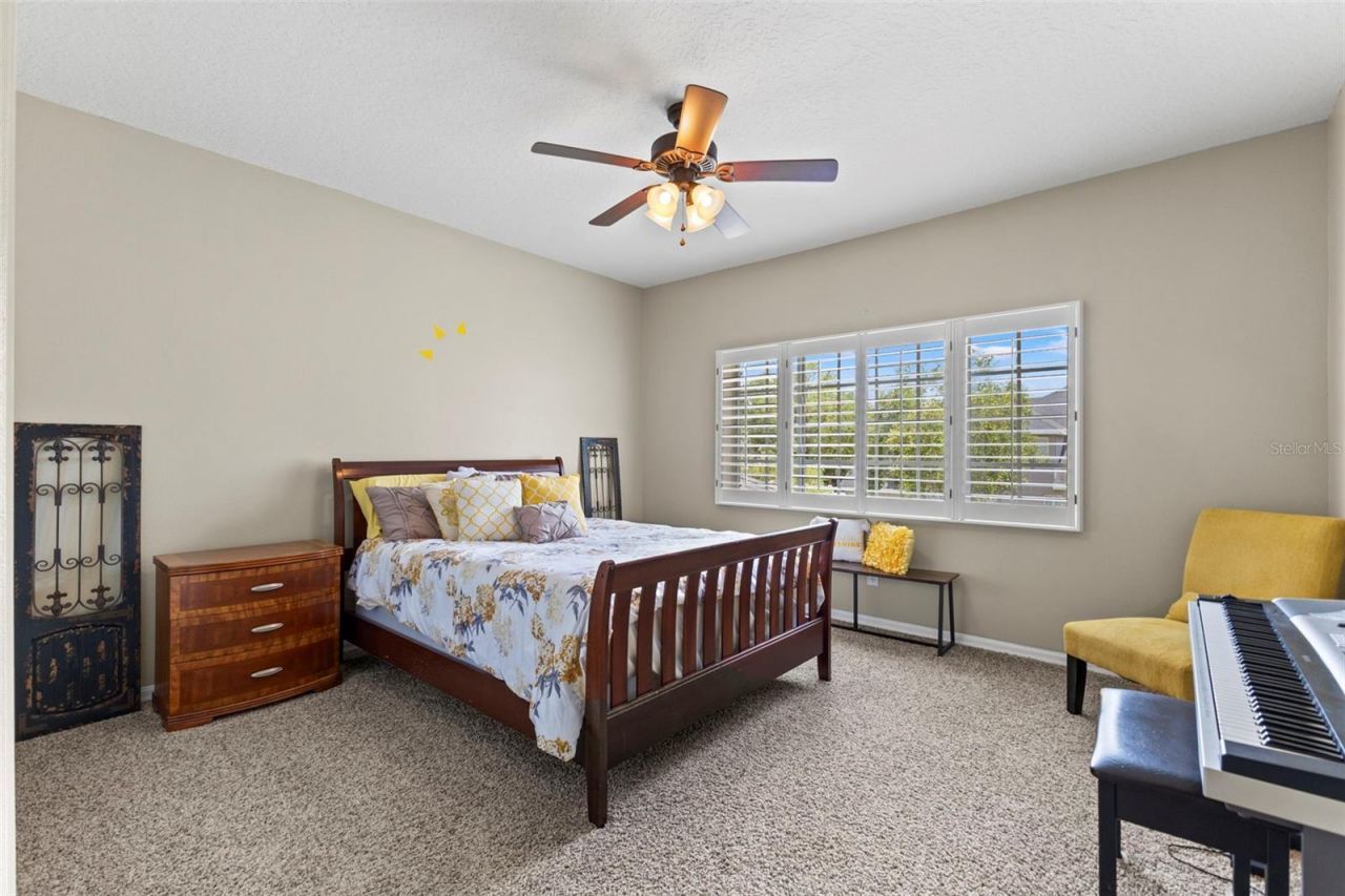11621 Renaissance View Court, Tampa, FL 33626 Photo