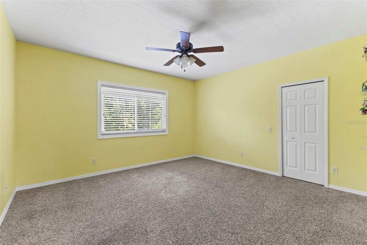 11621 Renaissance View Court, Tampa, FL 33626 Photo