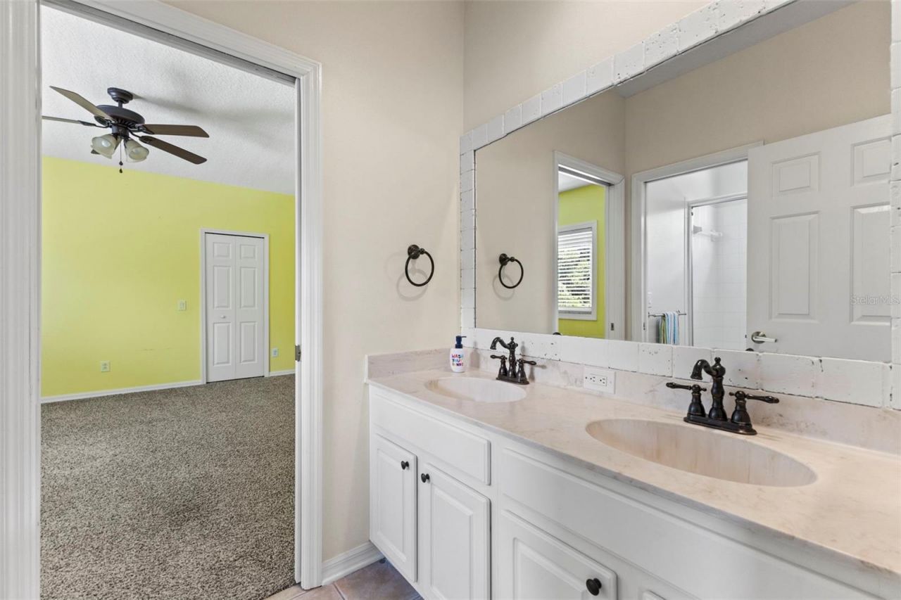 11621 Renaissance View Court, Tampa, FL 33626 Photo